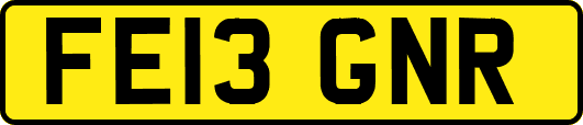 FE13GNR