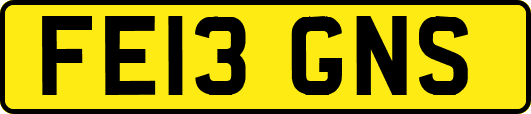 FE13GNS