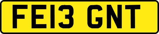 FE13GNT