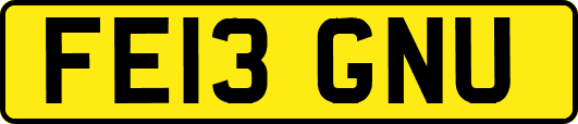 FE13GNU