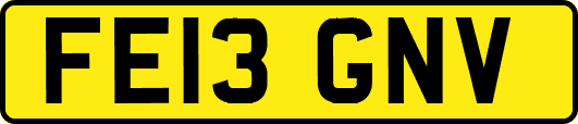 FE13GNV