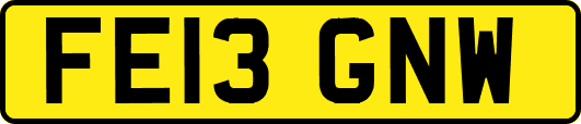 FE13GNW