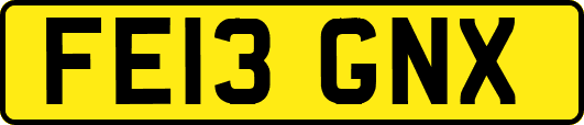 FE13GNX