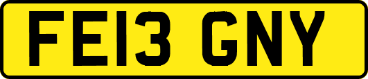 FE13GNY