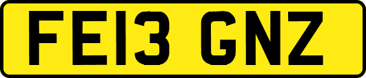 FE13GNZ
