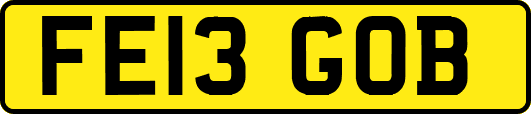 FE13GOB