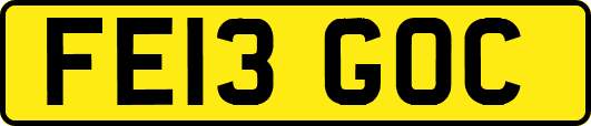 FE13GOC