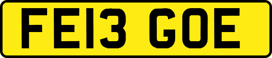 FE13GOE