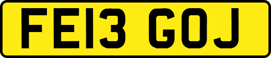 FE13GOJ