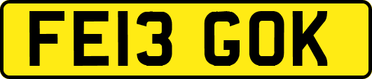 FE13GOK