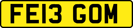 FE13GOM