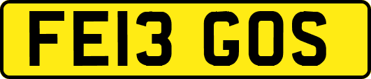 FE13GOS