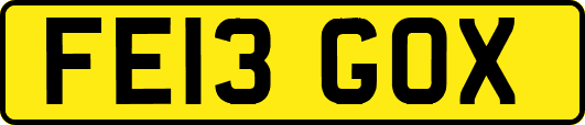 FE13GOX