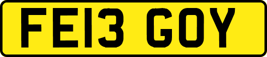 FE13GOY