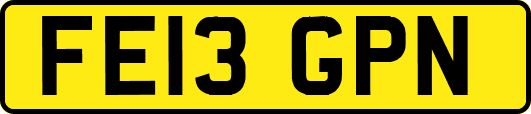 FE13GPN