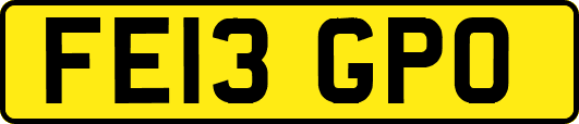 FE13GPO