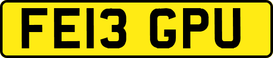 FE13GPU