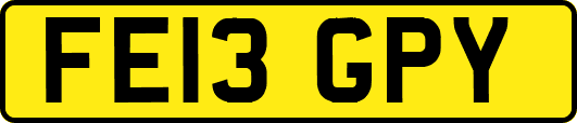 FE13GPY
