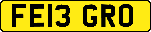 FE13GRO