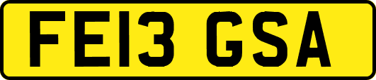 FE13GSA