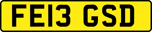 FE13GSD