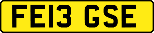 FE13GSE
