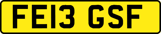 FE13GSF