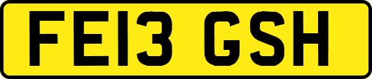 FE13GSH