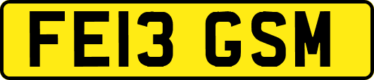 FE13GSM