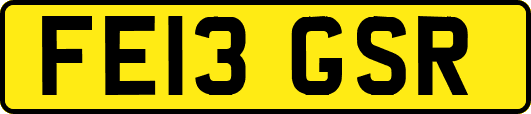 FE13GSR
