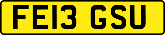 FE13GSU