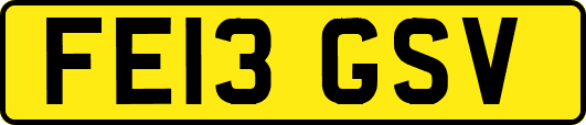 FE13GSV