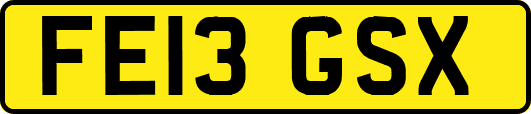 FE13GSX
