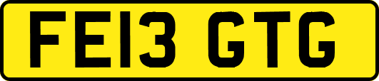 FE13GTG