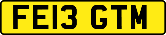FE13GTM