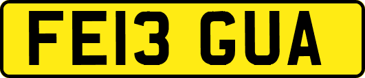 FE13GUA