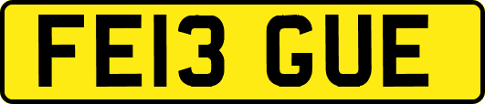 FE13GUE