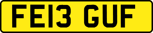 FE13GUF