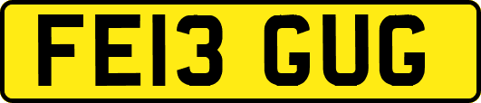 FE13GUG
