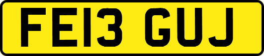 FE13GUJ