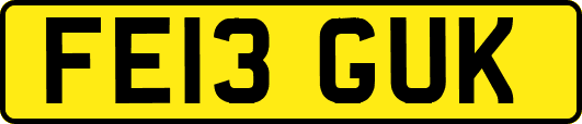 FE13GUK