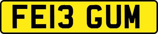 FE13GUM