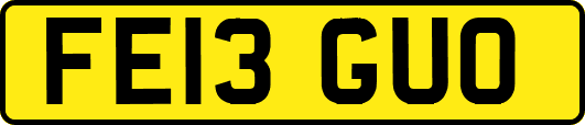 FE13GUO