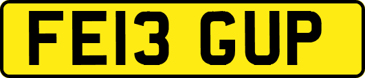 FE13GUP