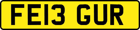 FE13GUR