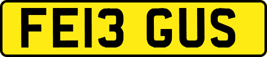 FE13GUS