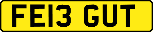 FE13GUT
