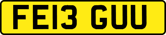 FE13GUU