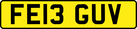 FE13GUV