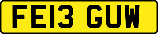 FE13GUW